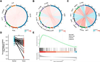 Inhibition of colon cancer K-RasG13D mutation reduces cancer cell proliferation but promotes stemness and inflammation via RAS/ERK pathway